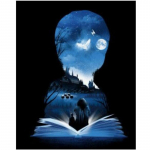 T&auml;is&uuml;mmargune/ruudukujuline 5D isetehtud teemantmaal Maagiline poiss Teemanttikandid Ristpistekomplektid Kodukaunistus K&auml;sitsi valmistatud kingitused Round 20x30cm