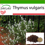 SAFLAX - Harilik t&uuml;&uuml;mian - 200 seemet - Potisubstraadiga paremaks kasvatamiseks - Thymus vulgaris