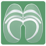 1paar ortopeedilised esiosa sisetallad naiste pehme silikoongeeli padi, mis leevendab jalavalu, p&ouml;ialuu toetamine, polsterdus jalatsite sisetallad