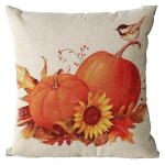 T&auml;nup&uuml;ha padjap&uuml;&uuml;r k&otilde;rvits p&auml;evalill padi linnuprindiga padjakate peidetud t&otilde;mblukuga Rustic Farmhouse Fall Couch Decor padjap&uuml;&uuml;r Bird + Flower