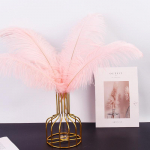 V&auml;rvilised 30-35cm jaanalinnusuled Kodukaunistus Lilleseade Pulmad Jaanalinnusuled 10PCS valge