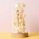 Mousse Florale - RICO DESIGN - Ronde - 7,5 x 4 cm - Blanc - Int&eacute;rieur pruun