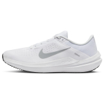 Nike Winflo 10 Valge H&otilde;behall Meeste Tossud DV4022-102 44 white