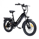 Bodywel F20 Elektrijalgratas 20-tolline 250W mootor ja 48V13.5AH aku
