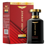 Park Avenue Conquer, Eau De Parfum Meestele, 100ml | Kauakestev Parf&uuml;&uuml;m Meestele | Luksuslik L&otilde;hn 100ML