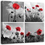 L&otilde;uendiprint Set Red Poppies Field 30x30 punane