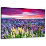 L&otilde;uenditr&uuml;kk Lavendel Fields Nature 60x40 lilla