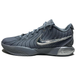 Nike LeBron 21 EP Resilience Unisex tossud Hall Cool-Grey Iron-Grey HF5352-001 40 black