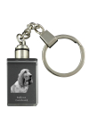 Redbone Coonhound - Crystal key ring with dog photo, illuminated key ring, unique gift by Art-Dog brand
