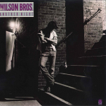 LP Plaat WILSON BROS - Another Night SD38116 ATCO 1979 USA Rock Kasutatud