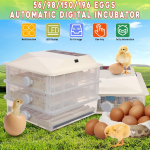 56/98/150/196 automaatne munainkubaator Farmi haudejaama masin, digitaalne LCD-ekraan farmi kanade vuttide munade inkubaatori jaoks 196 Eggs