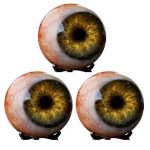 Realistlik gooti silmamuna kaunistus Elutruu &otilde;udus 3D silma skulptuur Hirmutav tume fantaasia stiilis Laua kaunistus Halloweeni kodu sisustuseks 3pcs sinine