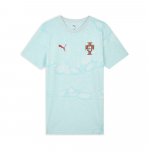 Puma Fpf Ftbculture Aop Portugali rahvuskoondis Spordiklubi Vabaaja &Uuml;mmarguse kaelusega L&uuml;hikeste varrukatega Jalgpallis&auml;rk Meeste s&auml;rgid 784820-31 XL