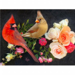 Teemantmaali lind 5d teemanttikandi m&uuml;&uuml;k Teemantkividest pilt kodukaunistuse kingitus 20X30CM