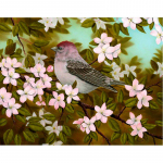 Teemantmaal 5D varblane ja lillepilt kividest kodukaunistusega tikandid 20X30CM