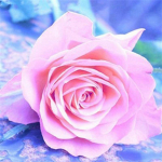 Teemantmaali lillede teemantkunsti mosaiiktikandite komplekt Teemantmaali t&auml;ispuurikomplektid Rhinestone 20*20cm