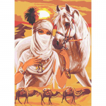 5D teemantmaaling K&otilde;rbe Messengeri k&auml;sit&ouml;&ouml;komplekt, ruut / &uuml;mmargune teemant valge hobune pilt tikandiga kaunistus Full Round (20X30CM)