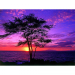 5D Teemantmaal t&auml;ispuur p&auml;ikeseloojangumaastik Kodukaunistused Tikand Ristpistes Mere&auml;&auml;rne loodusmaastiku seinakleebis Full Round 20X30CM punane