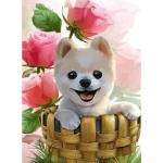 5D DIY Teemantmaali Koer T&auml;is&uuml;mmargune teemanttikandid Loomade kivist pilt Ristpistes Kodukaunistus Full Round 20x30CM