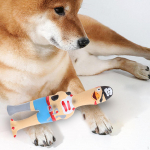 Latekskana piiksuv koeram&auml;nguasi lastele, t&auml;iskasvanutele naljakas n&auml;rimism&auml;nguasi, &otilde;uem&auml;ngud perem&auml;ng chef