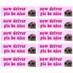 10 tk autokleebis, isekleepuv, tugev kleepuvus, veekindel, kergesti kooritav, naljakas meemi kleebis uue juhi autokleebis roosa