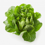 200 Graines de Laitue de Printemps