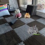 4/10 tk K&uuml;&uuml;liku merisea puurivooder V&auml;ikesed lemmikloomatarbed Veekindel libisemisvastane voodimatt Pehme soe k&uuml;&uuml;liku magamismatt Tekk voodi 10Pcs