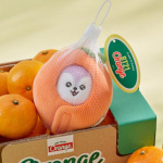 BT21 Baby Orange Party pl&uuml;&uuml;sist nuku v&otilde;tmehoidjad (7 Valikud) MANG