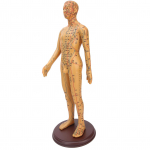 50 cm 19,7-tolline messingv&auml;rvi n&otilde;elravi kehamudel, l&auml;bipaistvad meridiaanid, n&otilde;elravi mudel