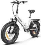 Electric bike New LOTDM200-II 750w Motor 48V 13Ah adult E-bicycle 20-inch Aluminum alloy Terrain tire Folding Electric bicycle 750W 48V 13AH valge