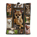 Chihuahua koerakate armas loomakoera tr&uuml;kiga flanellkate pehme soe viskekate uinakukate diivanile diivanile kontorisse voodisse telkimiseks 30x40in