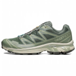 SALOMON XT 6 'Desert Sage' Tossud 471364 42