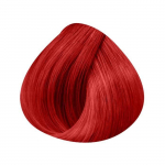 P&uuml;siv v&auml;rv - Schwarzkopf - Igora Royal Mix 0-88 - Erksapunane - 60ml - Kreem punane
