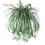 1 tk Chlorophytum Comosum kunstroheline koduaia kunstsiidist &auml;mblikutaime kaunistus