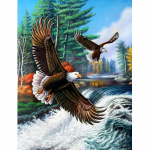 5D DIY teemantkunst maalimine Animal Eagle Teemanttikandid Rhinestone Mosaiic Kodukaunistuse pilt Full Round 20X30CM