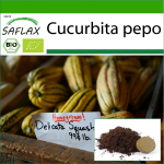 SAFLAX - Orgaaniline - Suvik&otilde;rvits - Delicata - 6 seemet - Potisubstraadiga paremaks kasvatamiseks - Cucurbita pepo