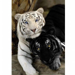 Teemantmaali Tiger Animal 5D DIY T&auml;is&uuml;mmargune teemanttikandi komplekt Rhinestone Mosaiic Ristpistes Seinakunst Kingitus Kodukaunistus Full Round 20x30CM