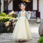 T&uuml;druk Hanfu iidne kost&uuml;&uuml;m lapsed Hiina stiilis v&auml;ikese t&uuml;druku kleit Tang kleit printsessi seelik rahvariided lapsed L
