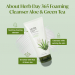 THE FACE SHOP - Herb Day 365 Master Blending Cleansing Cream #Aloe & Green Tea
