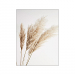 Beež lilleline muru seinakunst Pildid l&otilde;uendmaal Bohemia plakatid Taimetr&uuml;kid p&otilde;hjamaise moodsa elutoa kodukaunistuseks 21X30cm No Frame