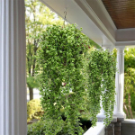 2 tk Rohelised kunsttaimed, v&otilde;rkjahvatatud lehed, viinapuu, kodukaunistus, rippuvad, m&auml;hised, kunstlill One Size