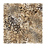Leopard Kevad P&otilde;hjamaade Leopardi Muster Tapeet Isekleepuv Magamistuba Hubane Veekindel Niiskuskindel Garderoobi Kleebised Renoveerimine 3mx45cmx1roll