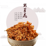 500g Hiina kuivatatud Jin Chong Cao Cordyceps Militaris &uuml;rte