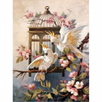 Teemanttikandid k&auml;sit&ouml;&ouml;maaling 5d heledad kivikivid papagoi ploomi&otilde;is teemant seina kunst kaunistus 20X30CM