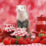 Teemantmaaling K&auml;sit&ouml;&ouml; Tikand K&auml;sit&ouml;&ouml; Teemanttikandid Maasikas Hamstri Teemant 30x30CM