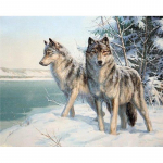 Tee ise 5d Teemant Kuu Lumi Hunt Dimondimaali Loomad Tikandid Rhinestone Kit 20X30CM