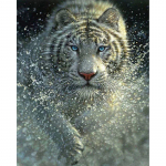 5D DIY teemantmaal  Tiger Series  Teemanttikandid Ristpistes n&auml;put&ouml;&ouml; kingitus 20X30CM