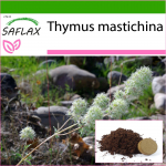 SAFLAX - T&uuml;&uuml;miani mastiks - 250 seemet - Potisubstraadiga paremaks kasvatamiseks - Thymus mastichina