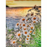 5d t&auml;isteemantmaaling karikakra maastik Teemantmosaiik tikandid lilled k&auml;sit&ouml;&ouml; kividest pildid kodukaunistus Full Round 20x30CM