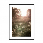Skandinaavia maastik P&auml;ikeseloojang Rohulilled T&uuml;druk valges kleidis Plakatid Prindid L&otilde;uend Maalimine Sein Kunst Pildid Sisekujundus 21X30cm No Frame